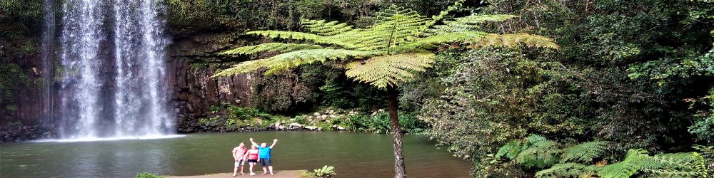 Авторский тур в плоскогорье Атертон из Кэрнса по диким животным, природе и джунглям тропической Австралии - 1 день