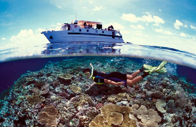 Экскурсия круиз на внешние рифы Аджинкорт (3 рифа) из Кэрнса или Порт Дугласа