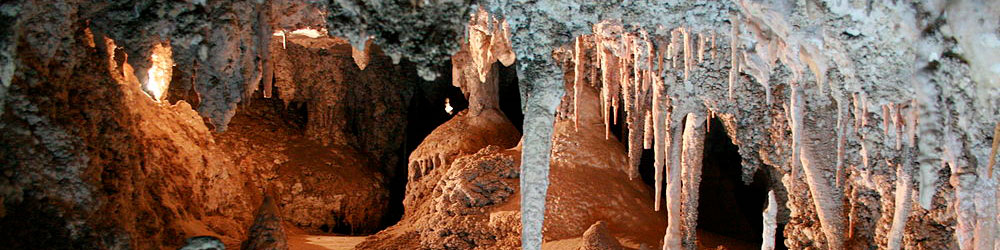 Экскурсия в глубинку Голубых гор и пещеры Дженолан с русским гидом из Сиднея