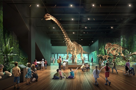 Лучшие места в Сиднее: австралийский музей Австралии в Сиднее